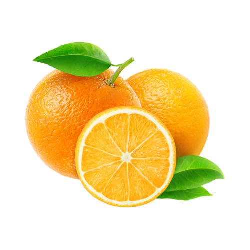 Citrus Fruits 